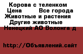 Корова с теленком › Цена ­ 69 - Все города Животные и растения » Другие животные   . Ненецкий АО,Волонга д.